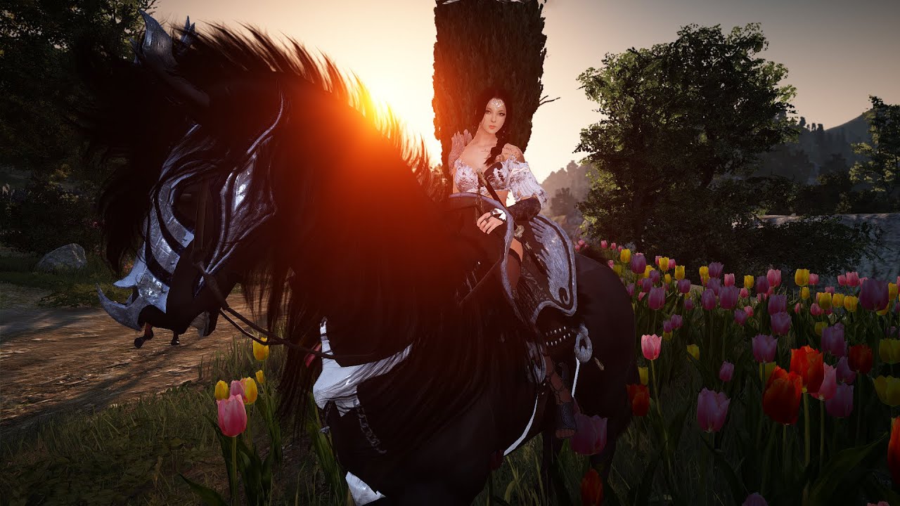 Black Desert Online T7 vs T8 Enhanced Horse Skills Comparison YouTube