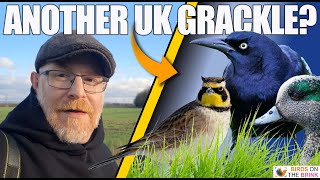 Another UK Grackle?! Rare Bird Chases Across North West England!
