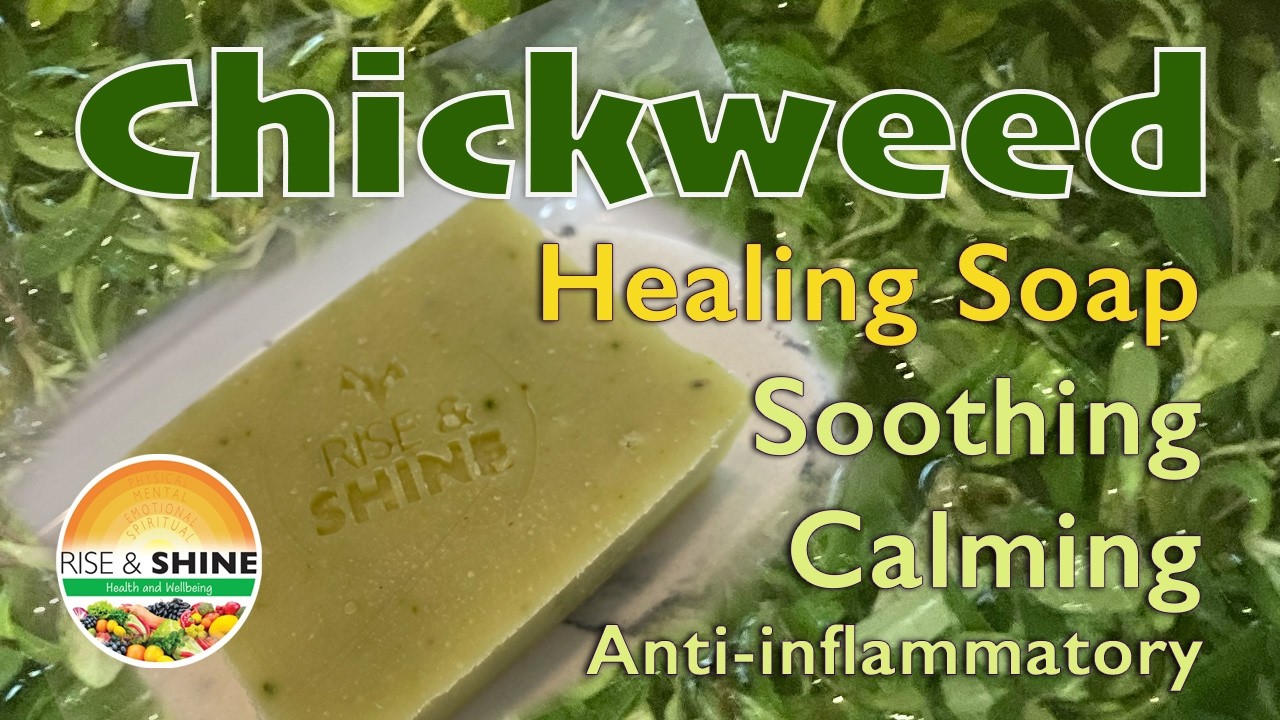 Chickweed Soap