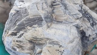 大きな珪化木 Big Petrified wood. - YouTube