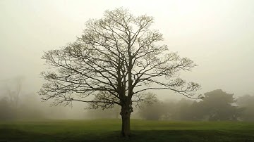 Gitanjali - Rabindranath Tagore - 65 -  Overflowing cup of my life