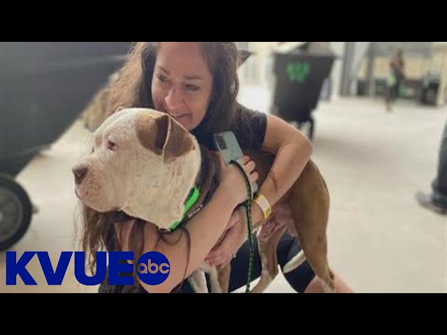 Austin Pets Alive!  Austin FC 2022 Mascots of the Match