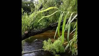 Balneario en Los Reartes Calamuchita