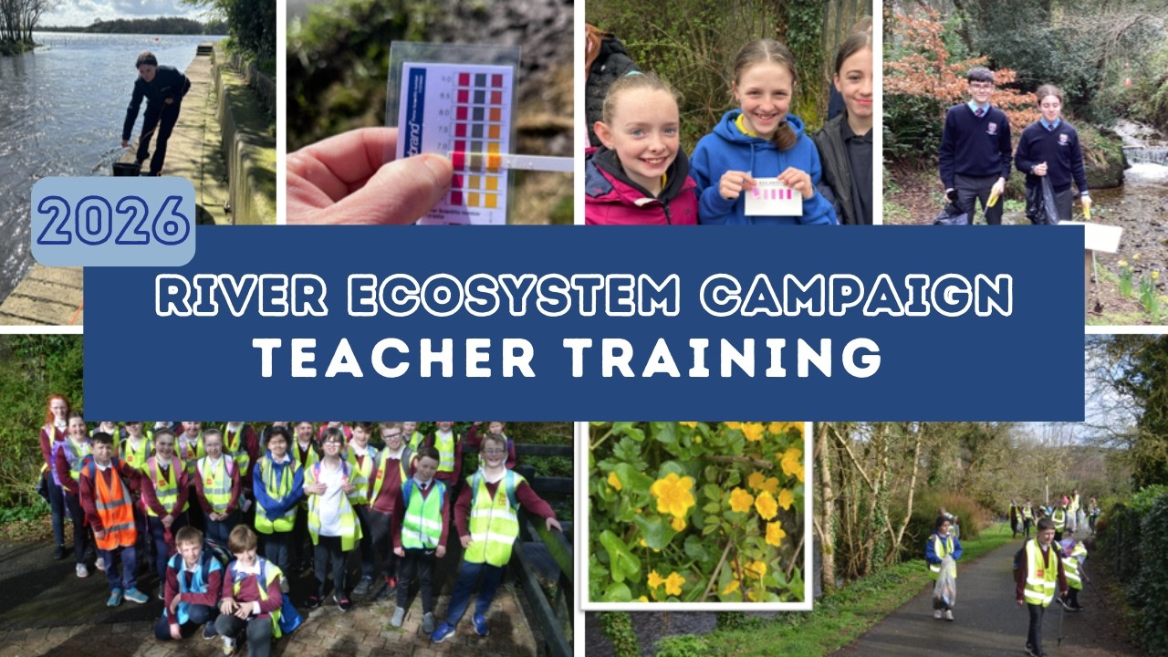 River Ecosystems Teacher Training 2026 _ GLOBE IRELAND