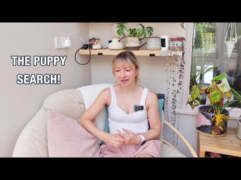 The Puppy Search
