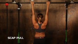 Scap Pulls for Healthy Shoulders & Activating Lats Profile