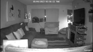 406994804 646555254068787 3960587799197985299 n