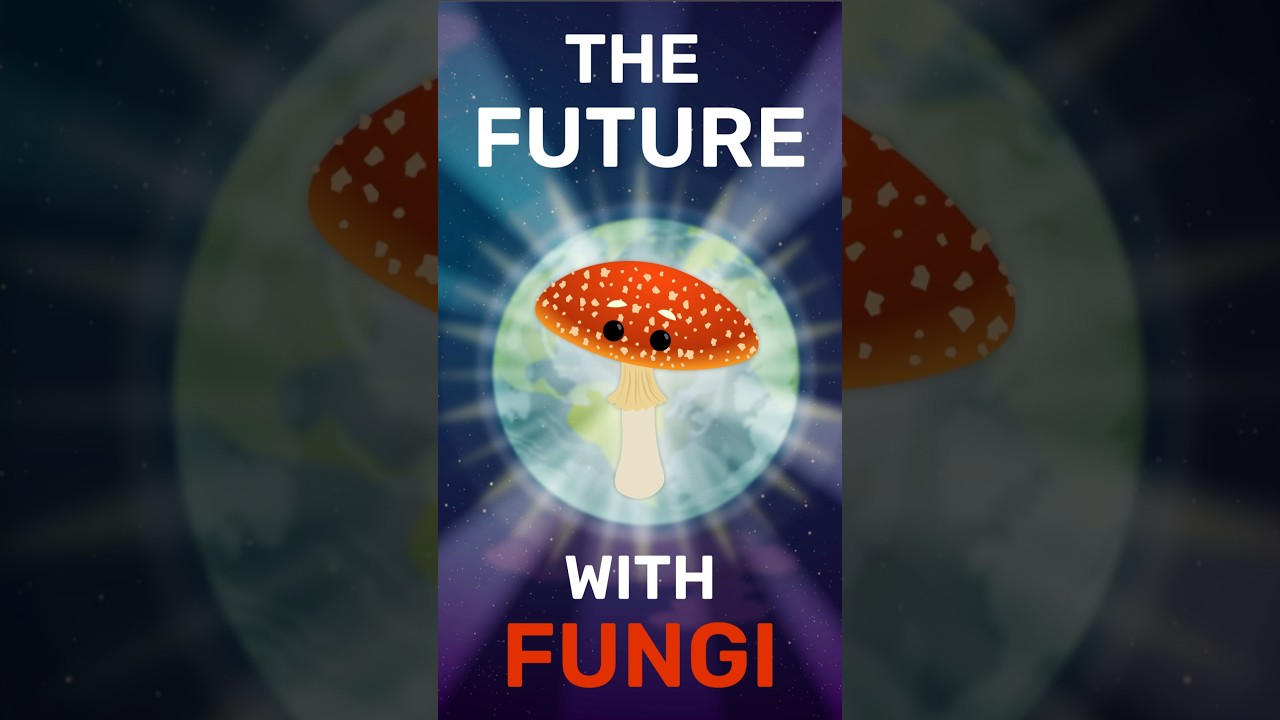 Грибы могут спасти человечество &ndash; и вот как #thoughtshot #fungi #mushroom #science