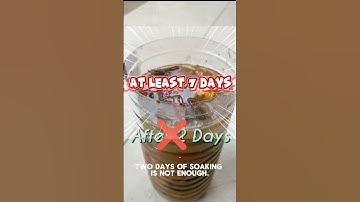 Biến rác thải nhà bếp thành phân bón hữu cơ cho cây trồng #organic #organicfarming #satisfying