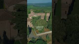 Cada pedacinho é incrível! Qual você iria? #shorts  🍷✨