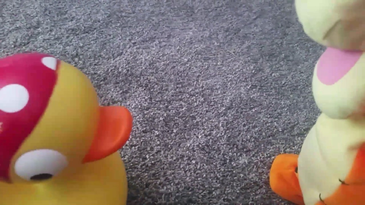 Tigger and Dukkys ramdom life