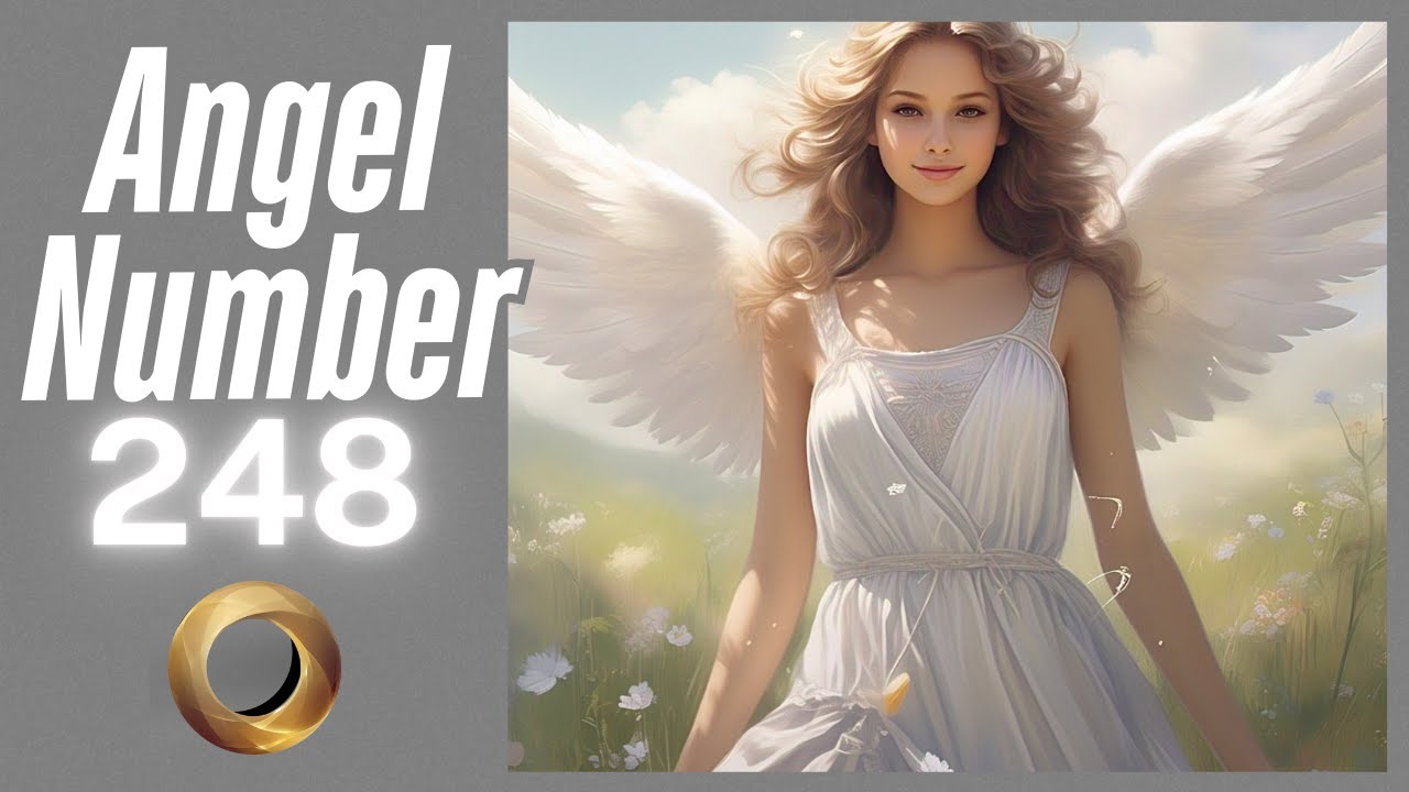 Angel number - 248