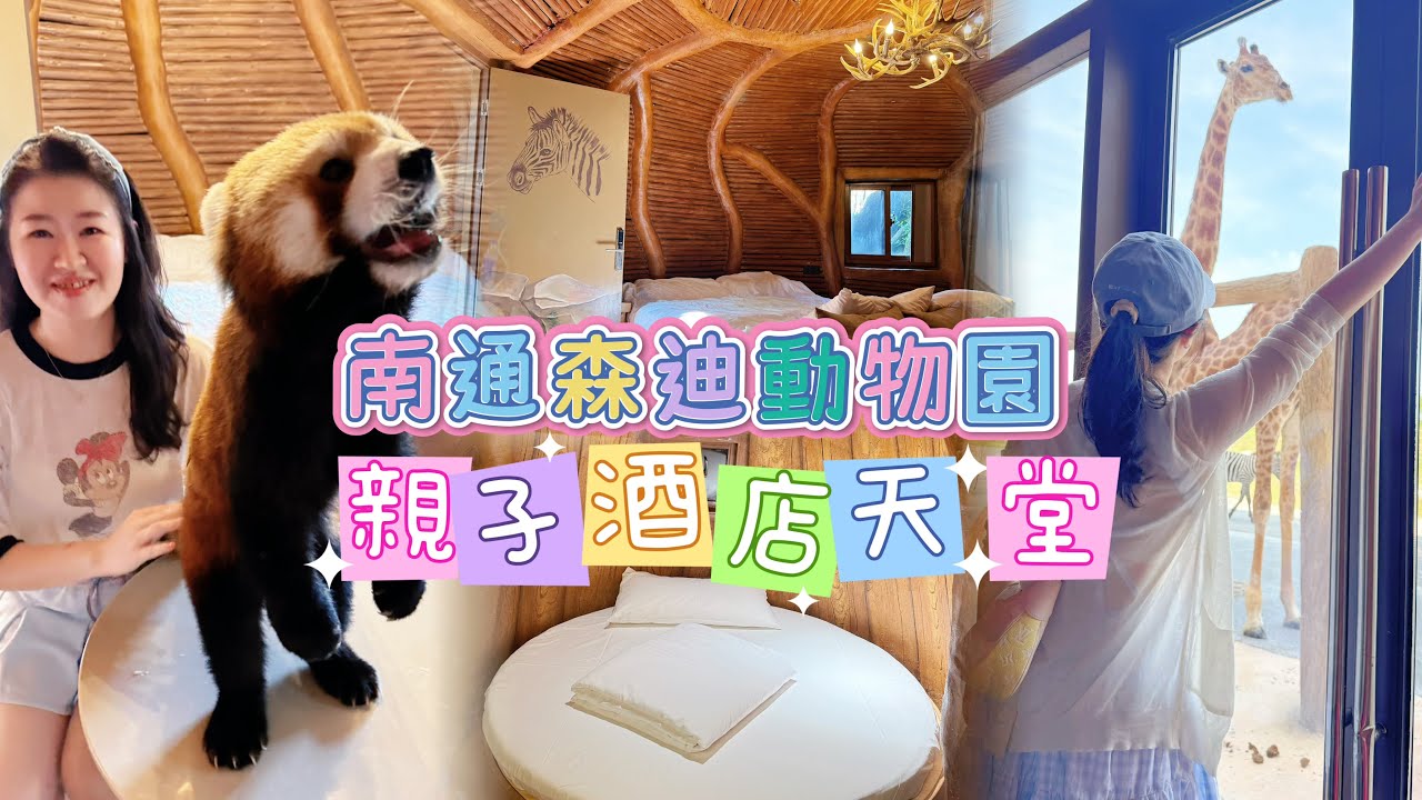 【上海自由行】EP3 南通森迪部落 江蘇南通動物園🏝️爆紅豪華樹屋實測！🌳小熊貓突襲探房＋棕熊可愛餵食互動🍎｜長頸鹿窗邊打招呼🦒超療癒親子森林飯店＋和諧號高鐵交通詳細攻略🚄