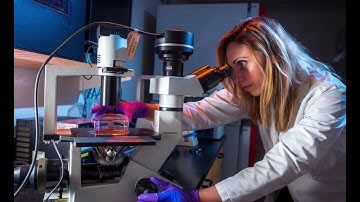 The Hippocratic Oath: Our Devotion to the Science and “Art” of Medicine