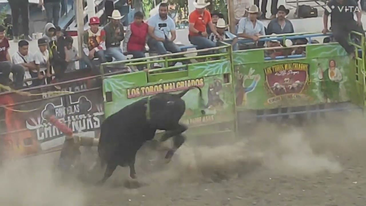 Segundo día de carnaval janitzio barrio norte 2026