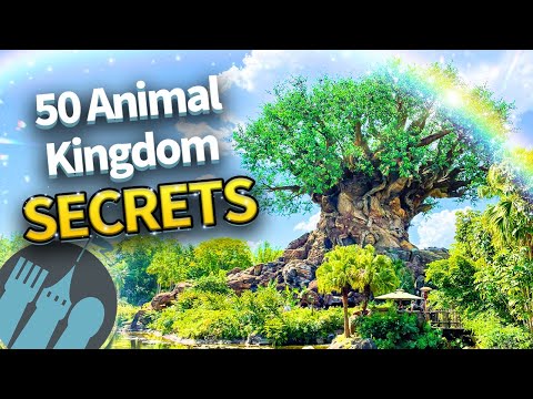50 Secrets and Tips For Disney World’s Animal Kingdom