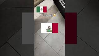 #coloring #mexican flag impossible do it #tiktokgame #game #hungergamestiktok #shorts