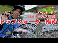 礒野寛之直伝！トップウォーター指南【スミス】