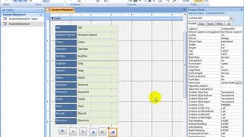 MS Access Full Tutorials videos 01 Step by Step| 2007 Office