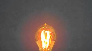 KG007 - 30A19/E26/VIC 120V 30 WATT CARBON FILAMENT A19 BULB E26 BASE