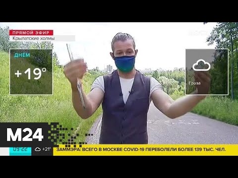 "Утро": до 19 градусов тепла ожидается в Москве во вторник - Москва 24
