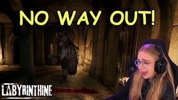 4 Friends Lost in a Maze! | Labyrinthine Gameplay