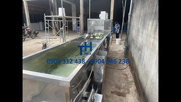 ( Bàn giao ) Máy rửa vỏ Bưởi công nghiệp. MÁY RỬA RAU CỦ QUẢ CÔNG NGHIỆP CÓ SỤC OZONE
