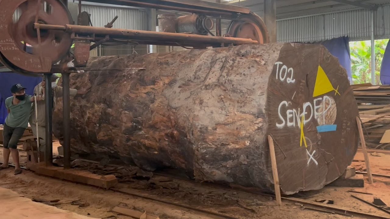 Biggest Heavy Sawmill Cutting Wood | Raw Wood Products, Excellent ...