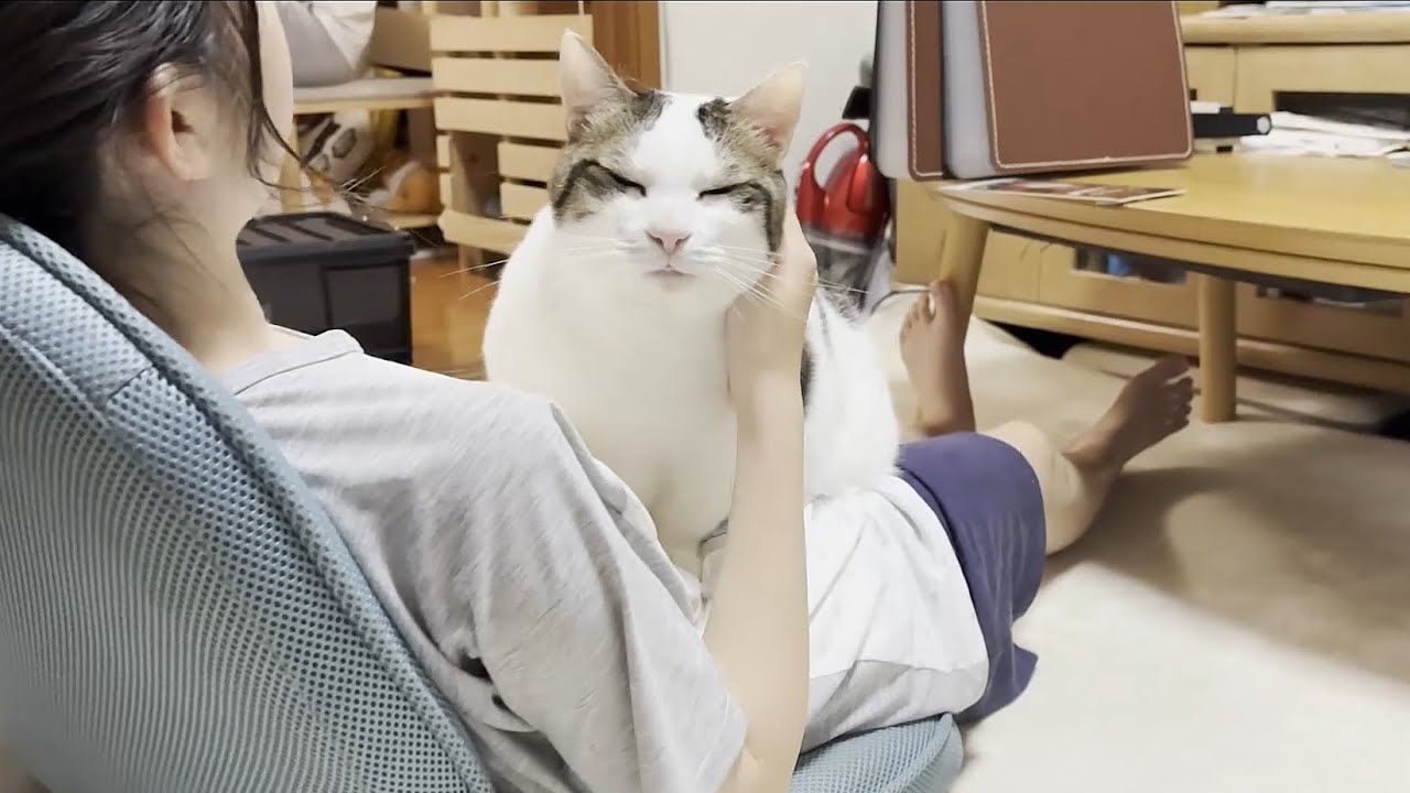 maxresdefault.jpg