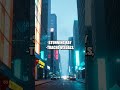 Eclipse Protocol Unveiled: Neon Memories and Grafts