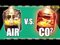 Watch What Happens When There's Too Much CO2