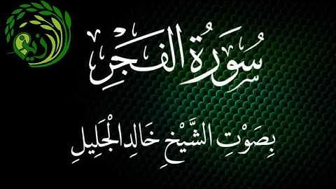 سورة الفجر بصوت الشيخ خالد الجليل .. زين
