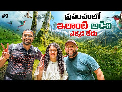 Beautiful Cocora Valley Colombia 🇨🇴 | Pereira | Wax Palm Tree's 🌴 | Uma Telugu Traveller