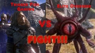 Dark And Light Shard Of Faith Episode 9 Elite Overseer