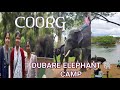      elephant a must visit spot in coorgdubare elephant camp