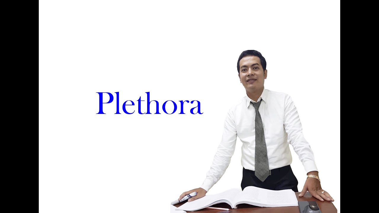 Plethora Written And Spoken In English By Yem Makara Speaking English English Learner Words