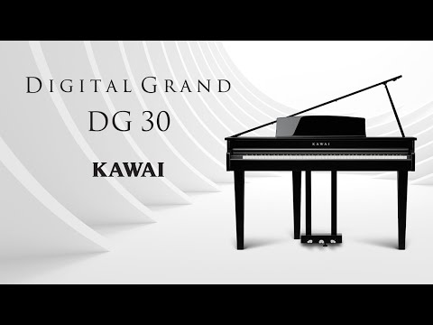 KAWAI カワイ ALG-30　PDR-15 KAWAI ALLIGUITAR （ALG-30）】の巻 - ☆ 新海 渚の機材紹介 ☆