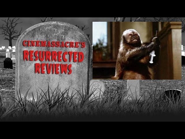 ムービージェニック チャッキー moviemaniacs The Monkey | Official Trailer | Horror Brains - YouTube