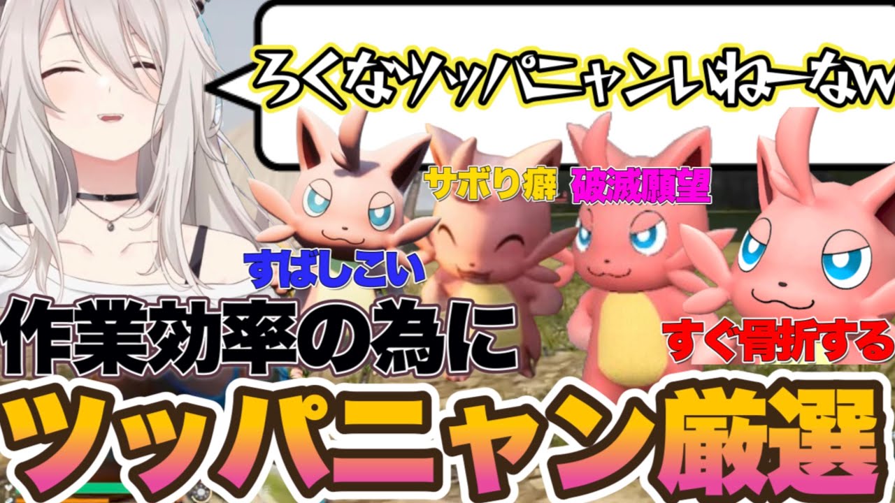 【パルワールド】効率を考えてツッパニャン厳選をするが変なツッパニャンとしか出会わない獅白ぼたんw【パルワールド　ホロライブ　切り抜き動画　獅白ぼたん】