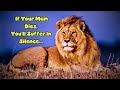 Why It Sucks To Be Born As A Lion Why It Sucks To Be Born As A Lion