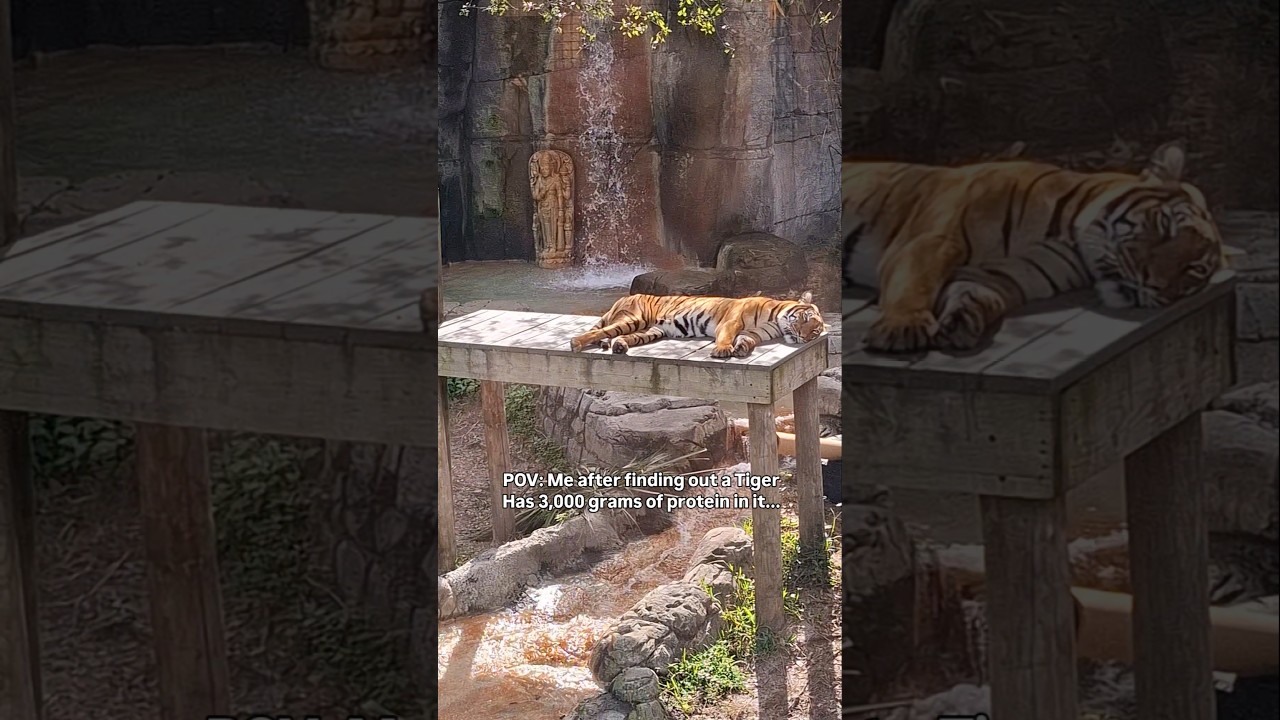 Gotta get my Protein in 💪🏻