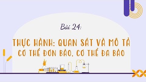 Bài 24. Thực hành: Quan sát và mô tả cơ thể đơn bào, cơ thể đa bào- KHTN 6- Kết nối tri thức- OLM.VN