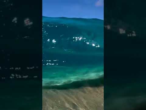 موجة البحر الرائعة