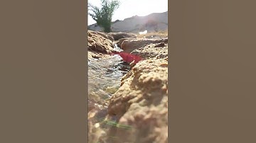 ما أجمل الطبيعة راحة نفسيه قرآن كريم عبد الرحمن المسعدي