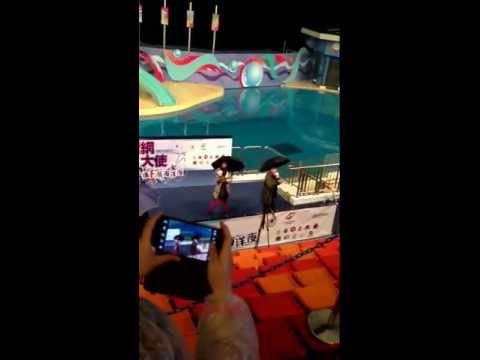 Ocean park 鍾一憲+麥貝夷「犯眾憎」