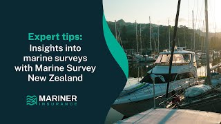 An expert insight into marine surveys with Marine Survey New Zealand
