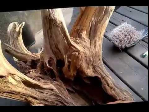 How to Clean Driftwood for Aquarium