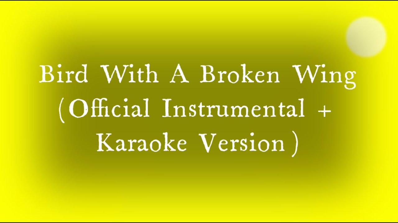 Owl City - Bird With A Broken Wing (Official Instrumental + Karaoke Version)