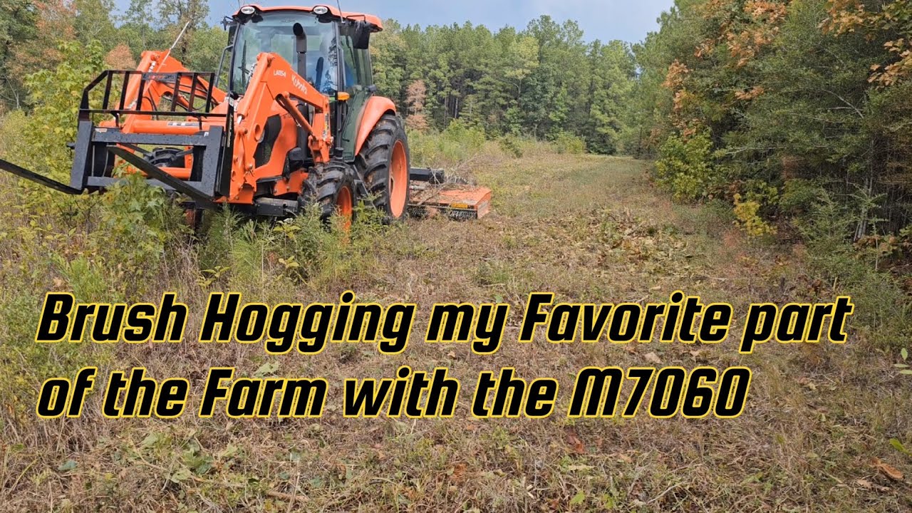 Brush Hogging my Favorite part of the Farm with the M7060 - YouTube