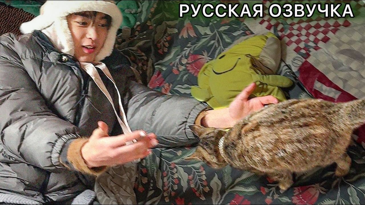 РУССКАЯ ОЗВУЧКА - CORTIS - кошка, ты мне не нравишься